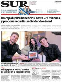Diario el Sur