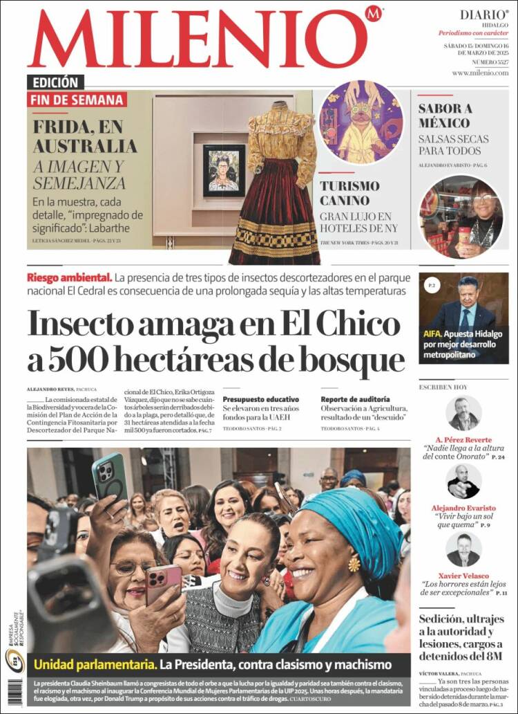 Portada de Milenio de Hidalgo (México)