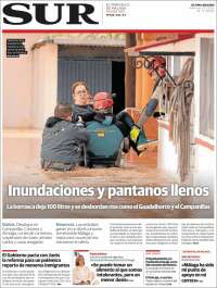 Diario el Sur