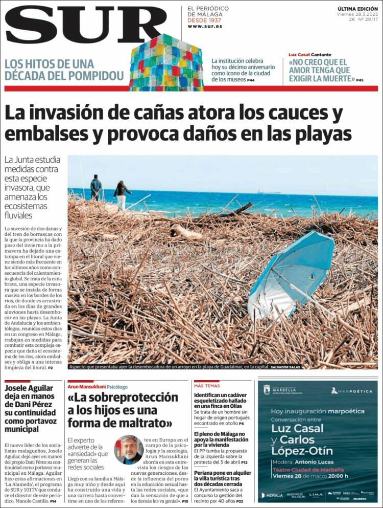Portada de Diario el Sur (España)