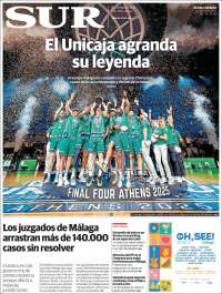 Diario el Sur