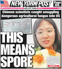 New York Post