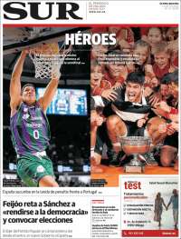 Diario el Sur