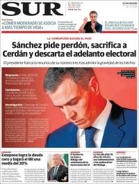 Portada de Diario el Sur (España)