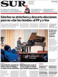Diario el Sur