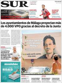 Diario el Sur