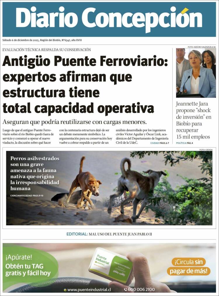 Portada de Diario de Concepción (Chile)