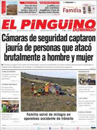 El Pingüino