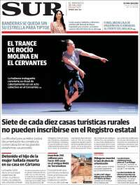 Diario el Sur