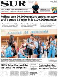 Diario el Sur