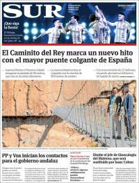 Diario el Sur