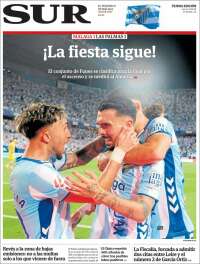 Diario el Sur