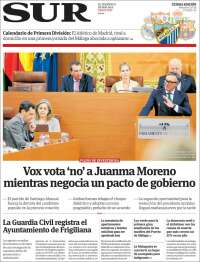 Diario el Sur