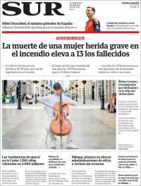 Diario el Sur