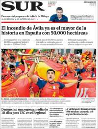 Diario el Sur