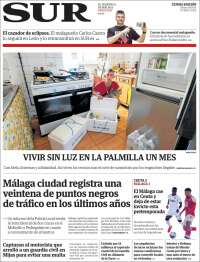 Diario el Sur