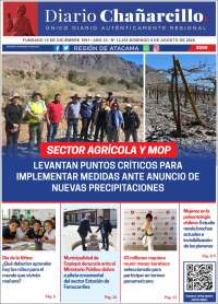 Diario Chañarcillo