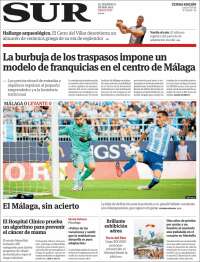 Diario el Sur