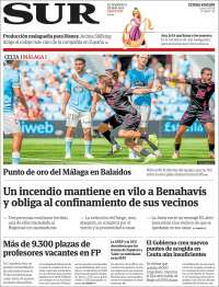 Diario el Sur