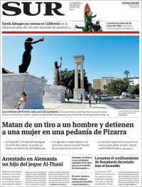 Diario el Sur