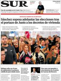 Diario el Sur