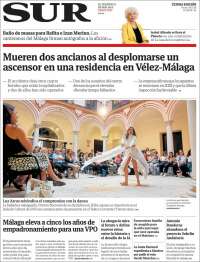 Diario el Sur