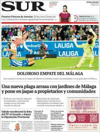 Diario el Sur