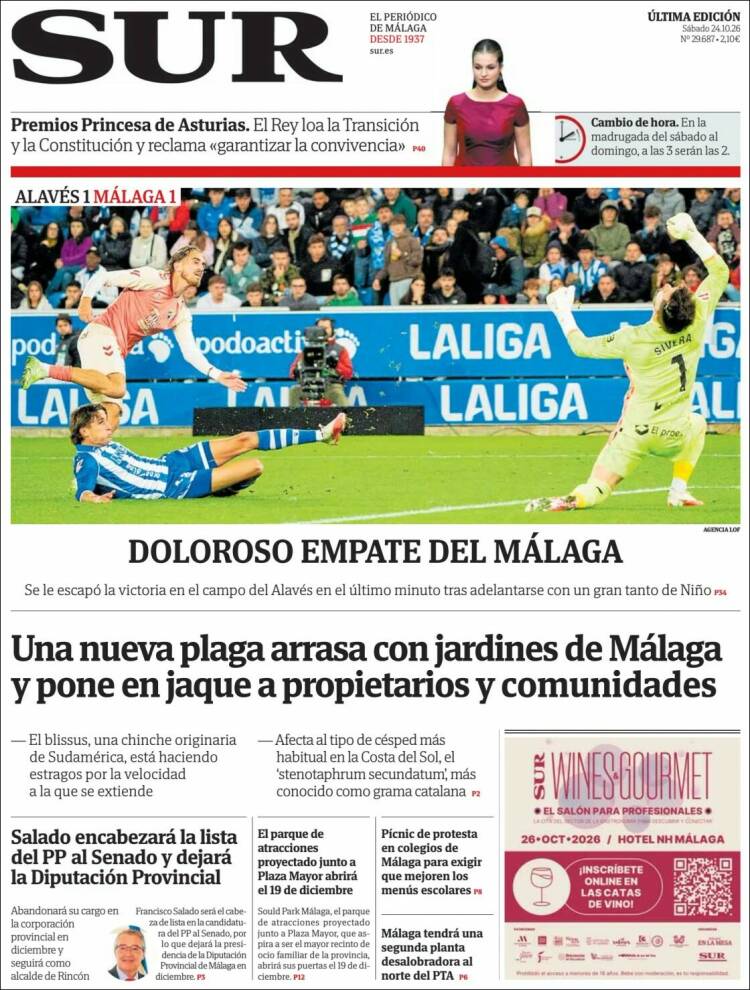 Portada de Diario el Sur (Spain)