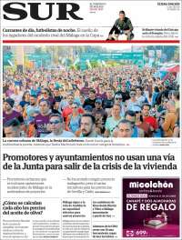 Diario el Sur